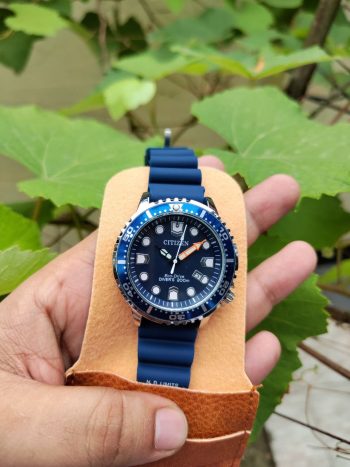 Citizen Eco_Drive Silicon Blue