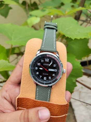 Citizen Eco_Drive Canvass